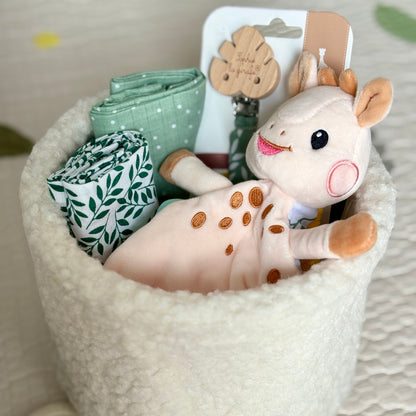 Newborn gift basket